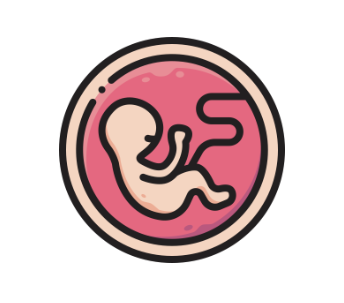 Embryology Notes