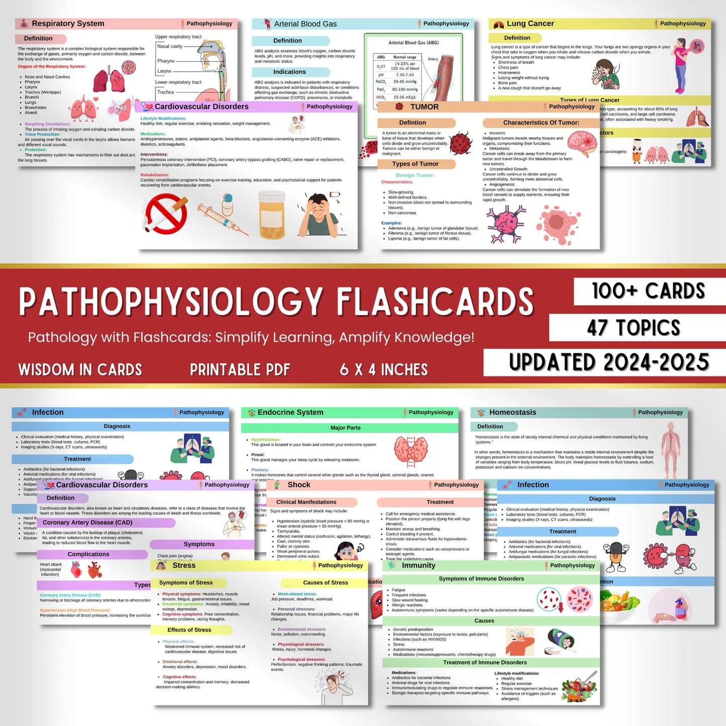 100+ Pathophysiology Flashcards